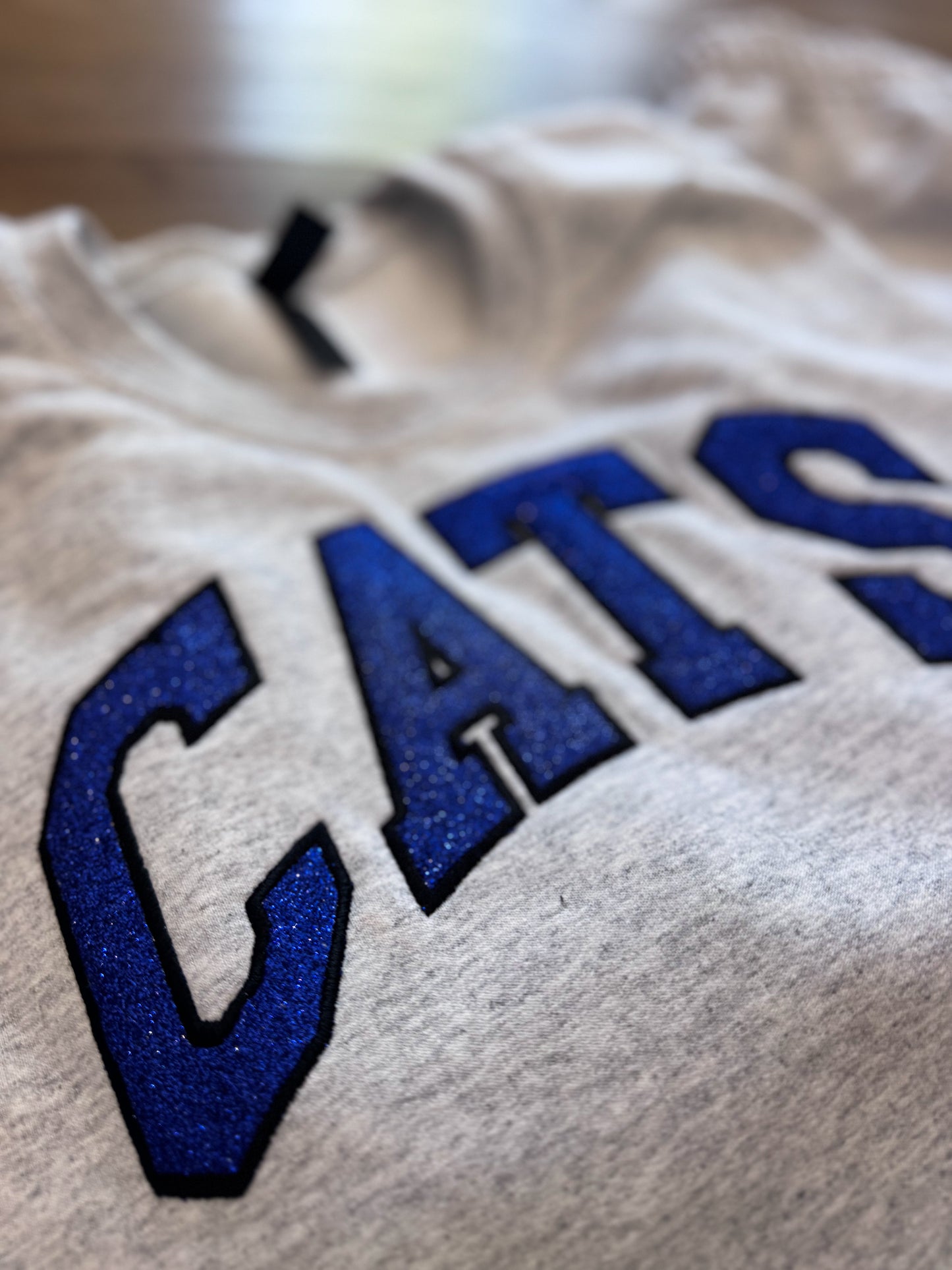 Custom Mascot Sweat Set