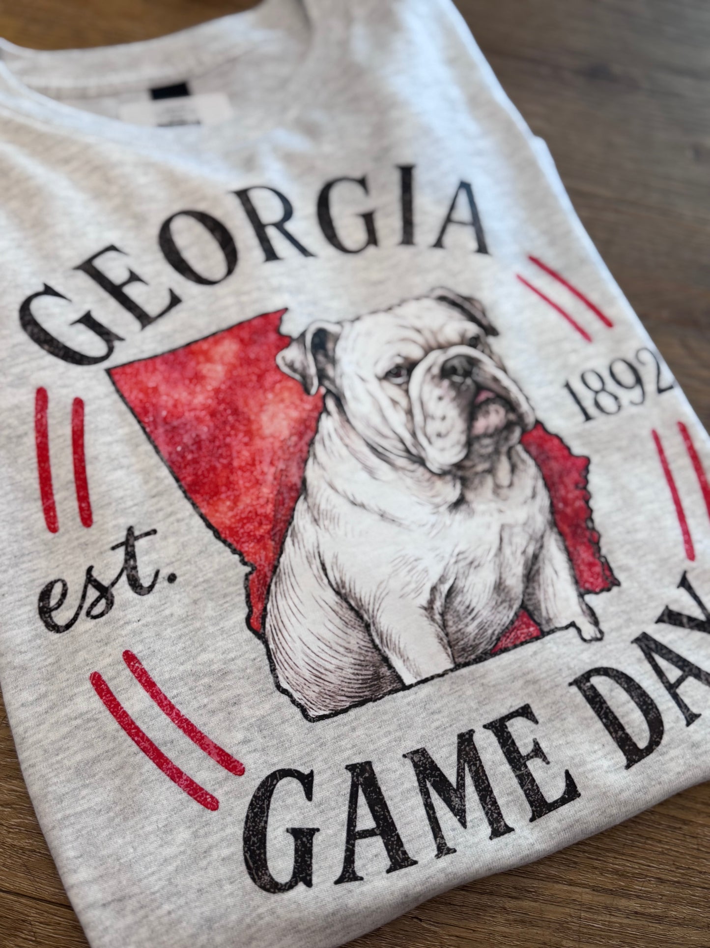 Georgia Game Day