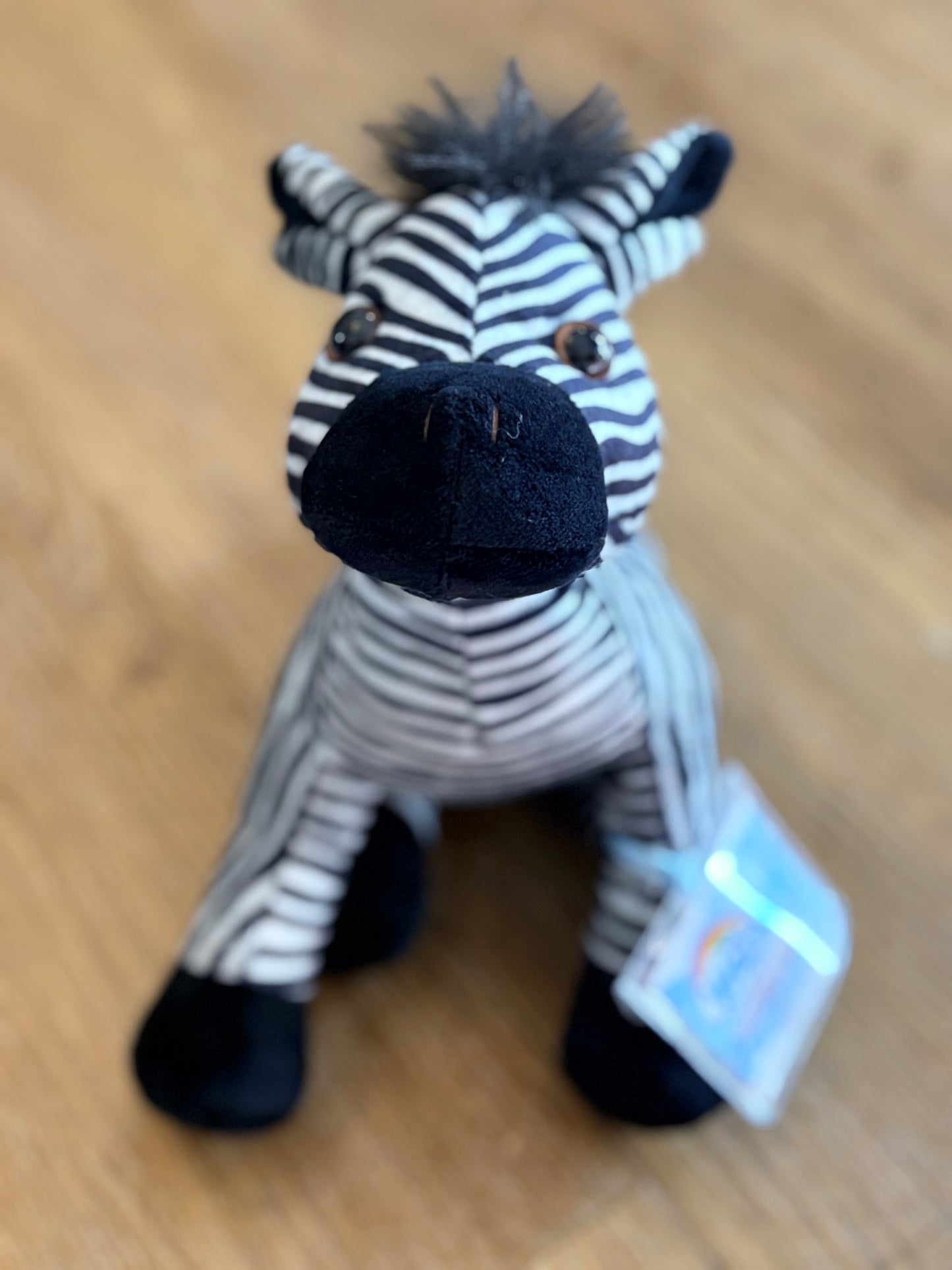 Zebra