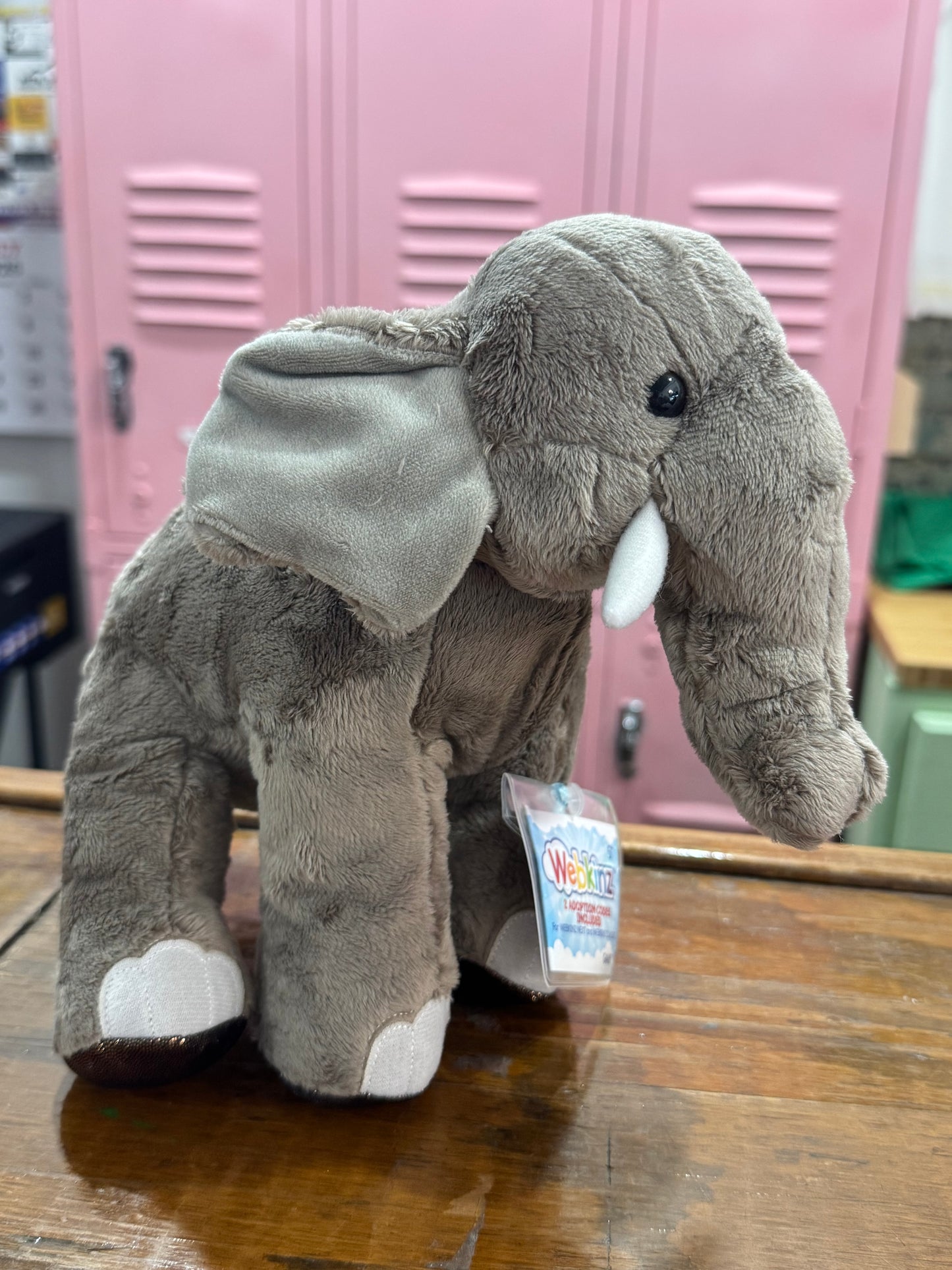 Asian Elephant