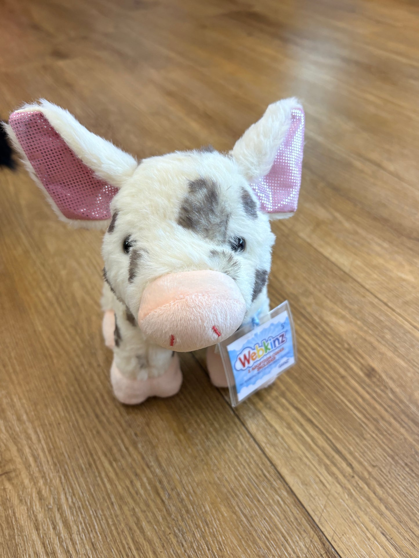 Spotted Pig