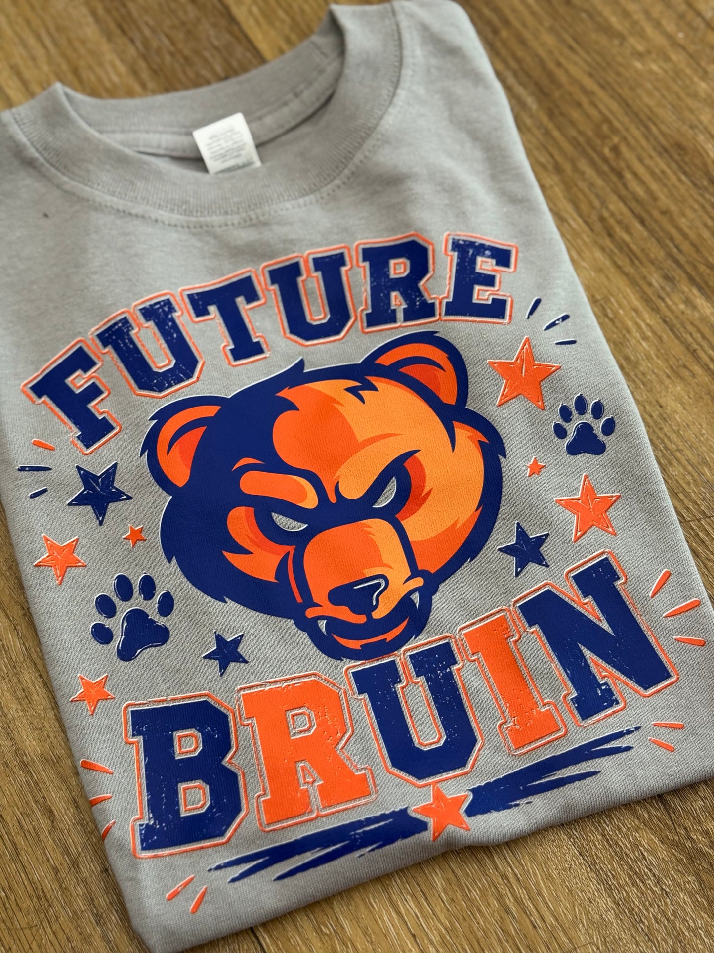 Future Bruin