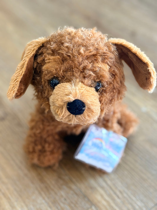Cockapoo