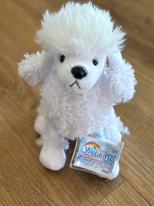 White Poodle