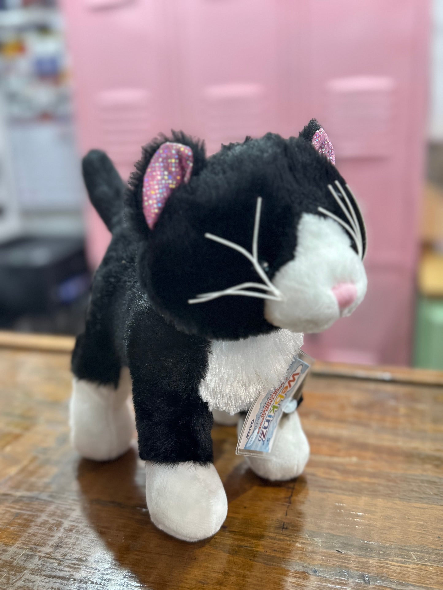 Black and White Cat