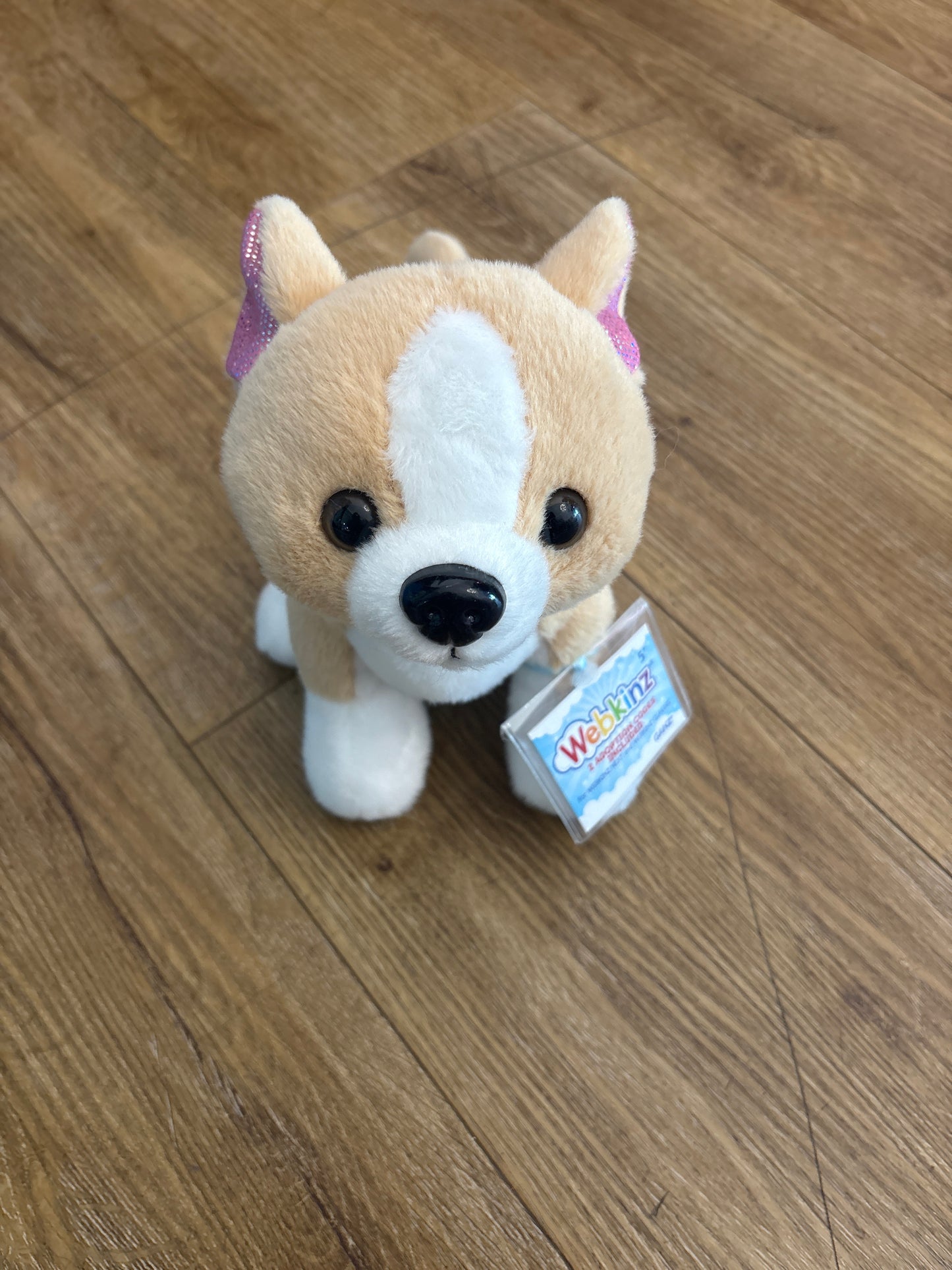 Corgi