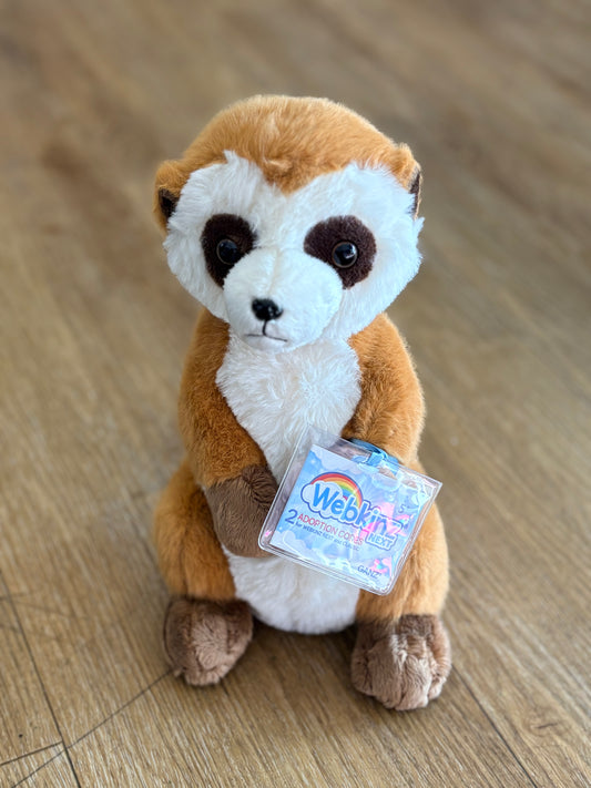 Meerkat