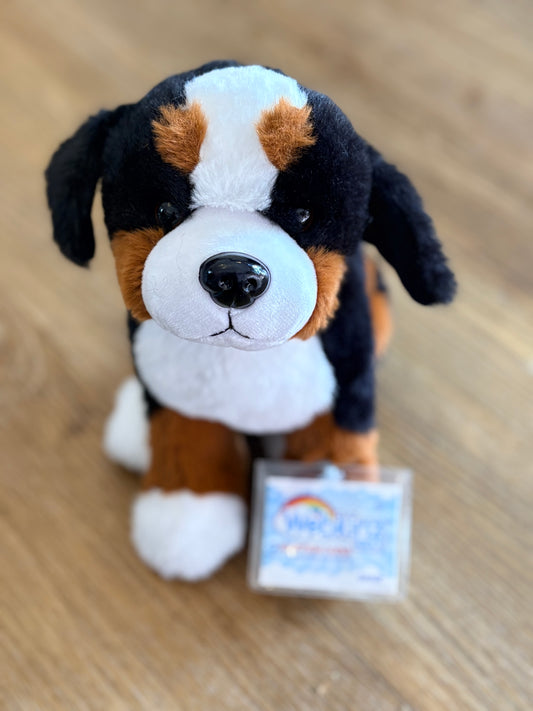 Bernese Mtn Dog