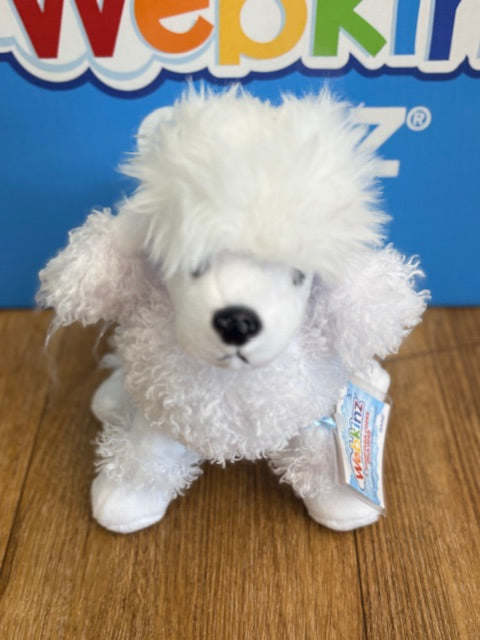 White Poodle