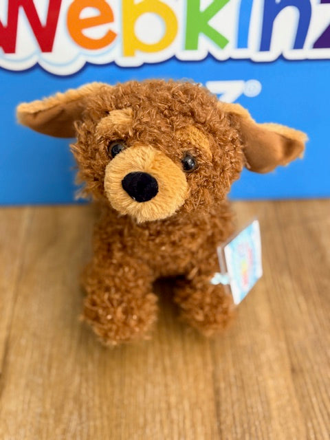 Cockapoo