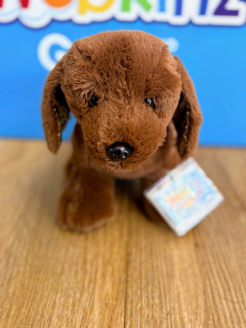 Chocolate Lab
