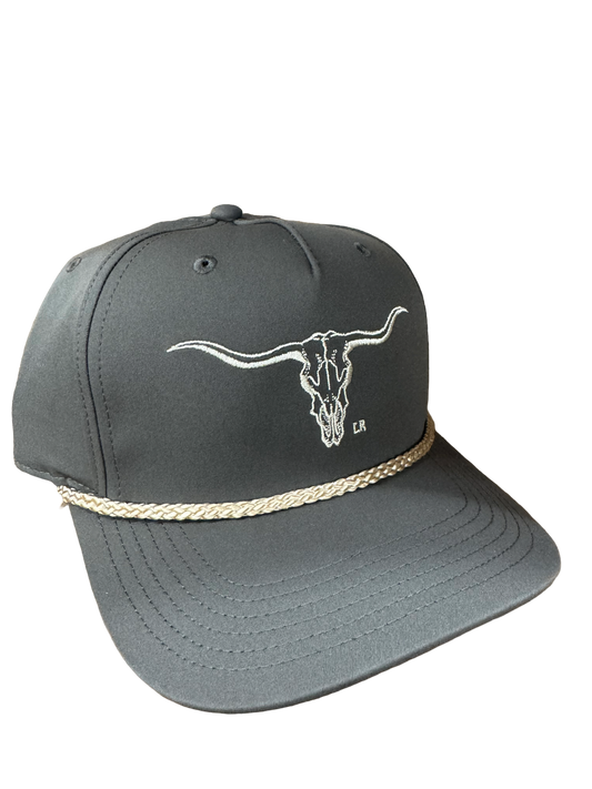 Longhorn
